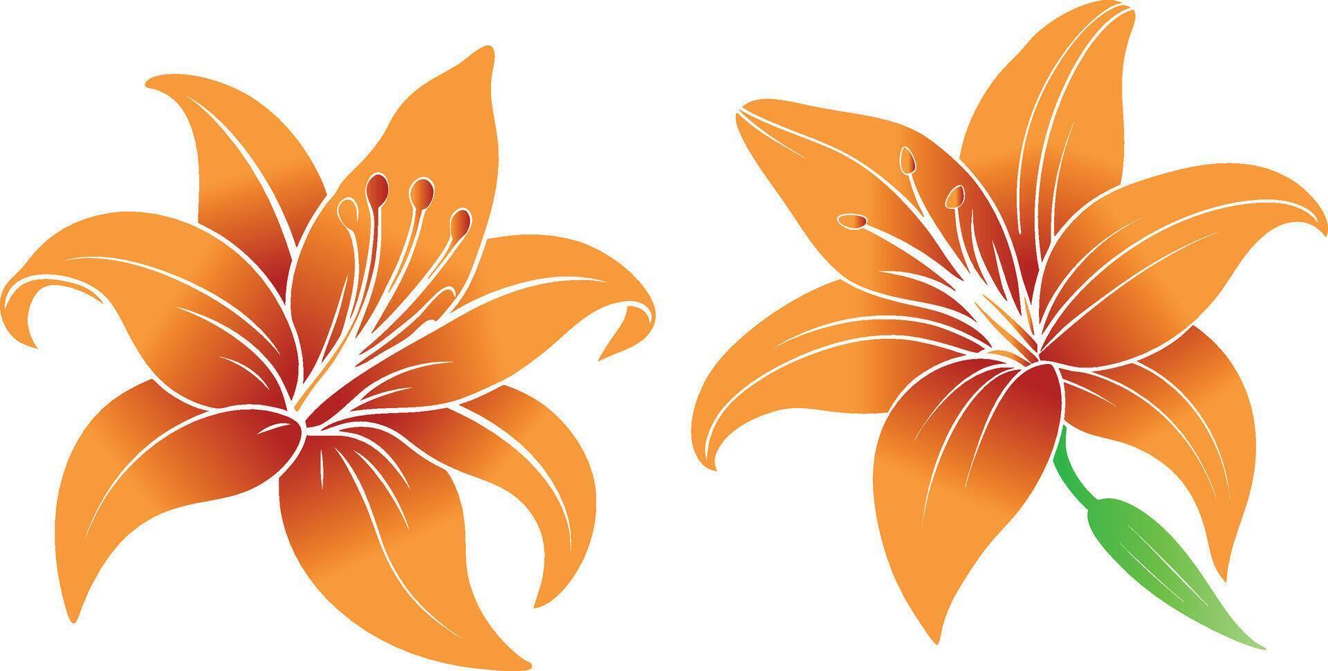 Lily flower art illustration vector