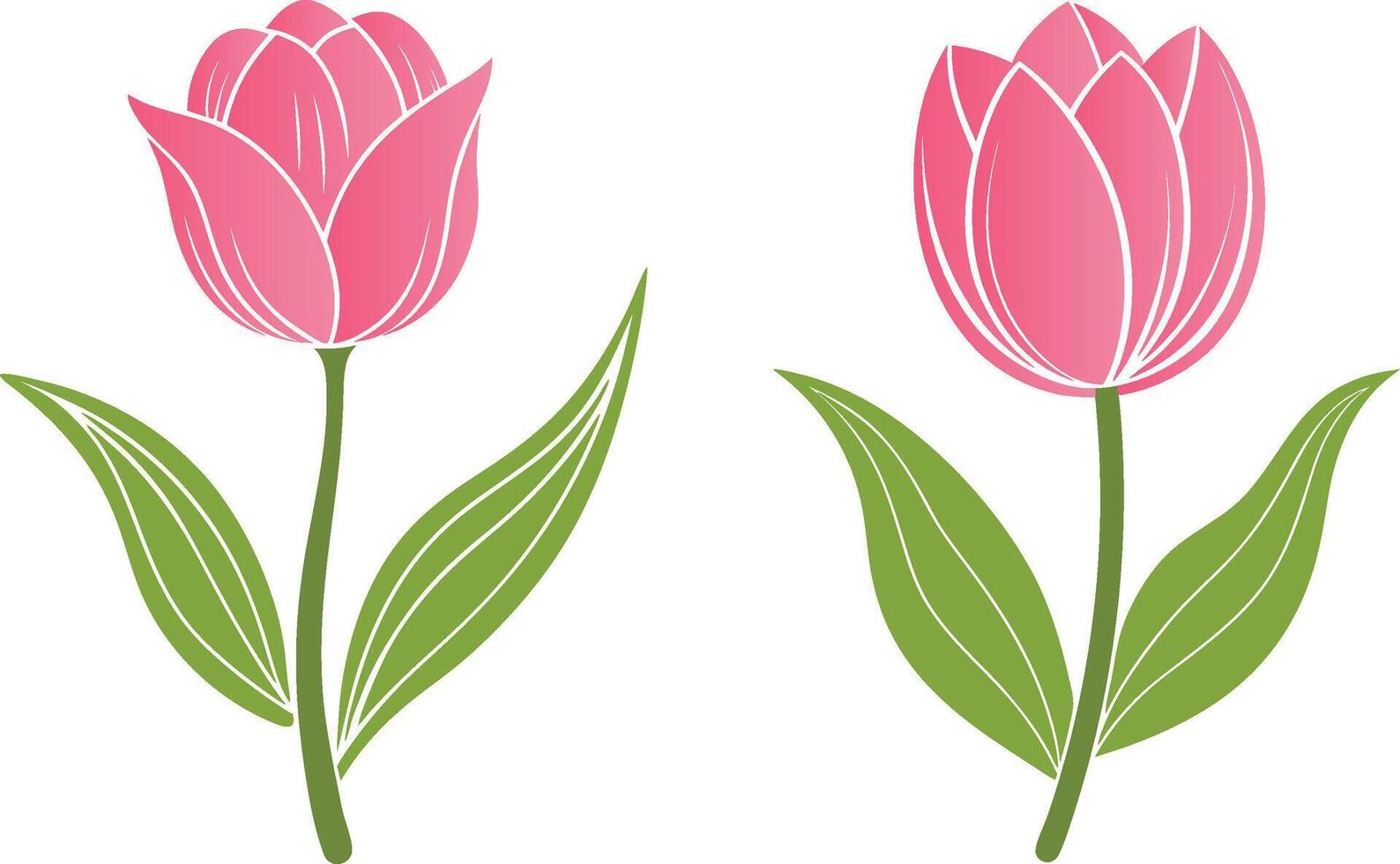 Tulip flower art illustration vector