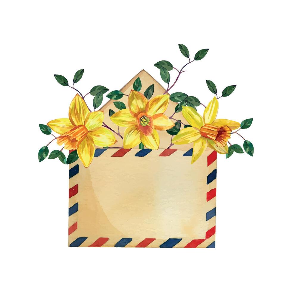 Watercolor illustration. Envelope with flowers, yellow daffodils, green twigs on a white background. All elements are hand-painted with watercolors. For printing on cards, fabric, scrapbooking vector