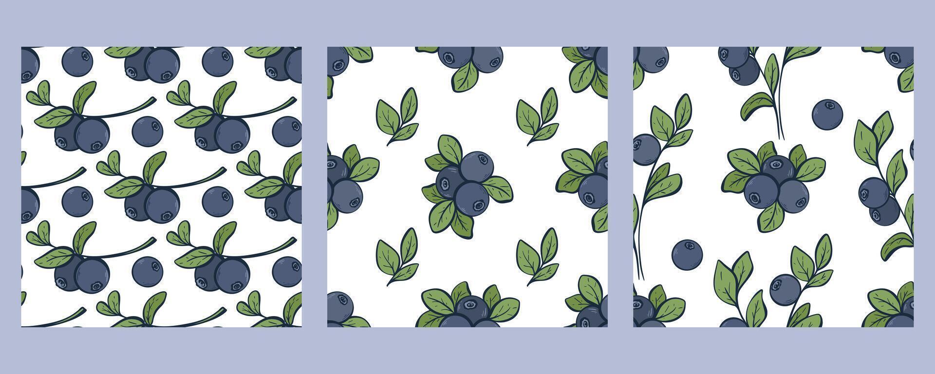 Vintage engraved blueberry seamless pattern set vector