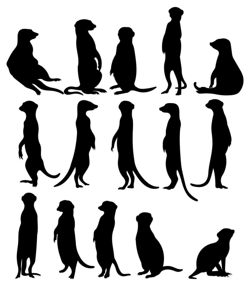 Collection meerkat silhouette illustration vector