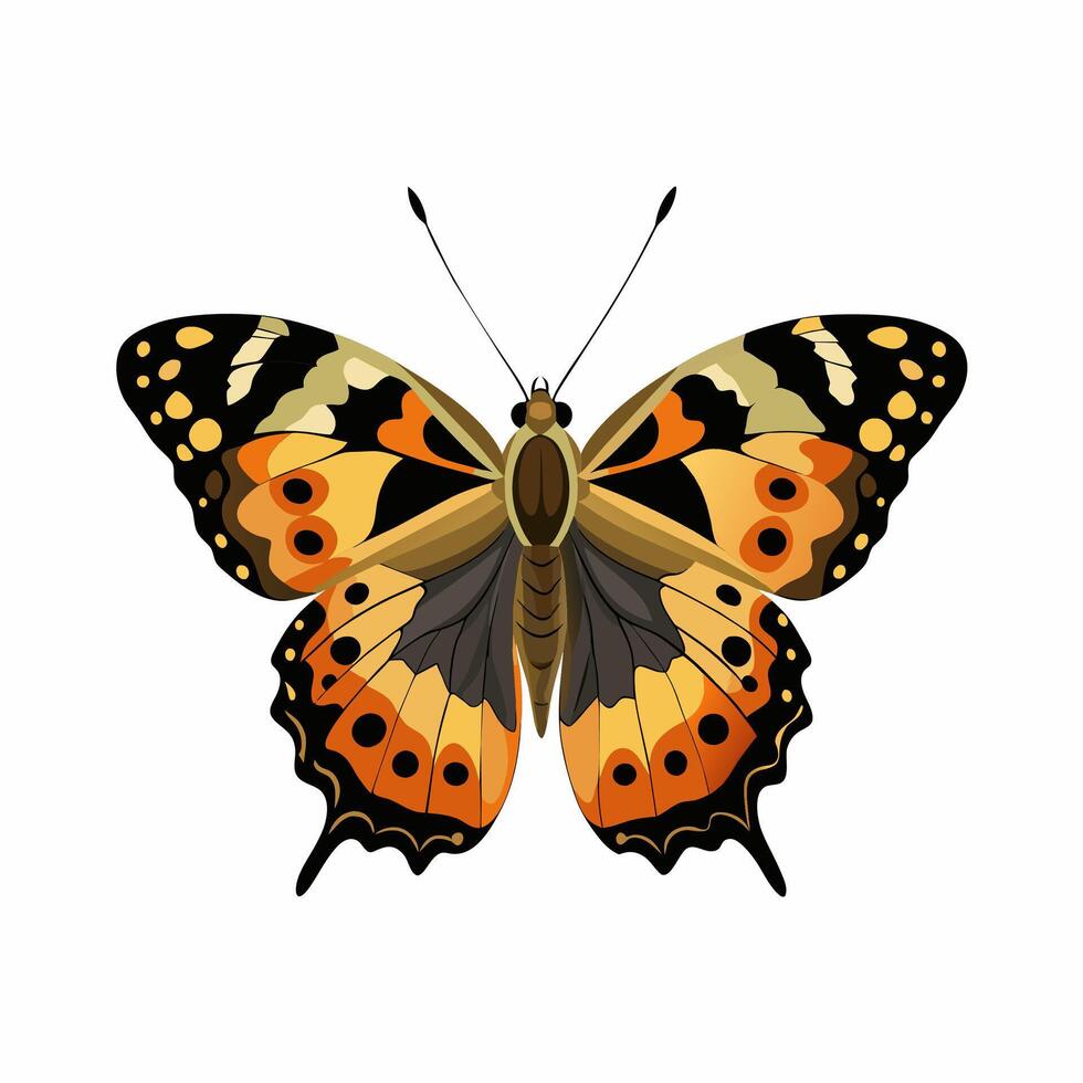A Vintage Illustration of Painted Lady Butterfly vector
