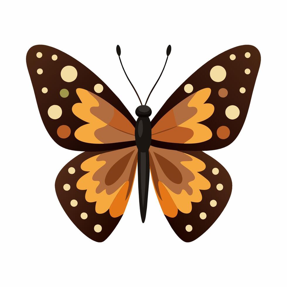 A Vintage Illustration of Speckled Wood Butterfly vector