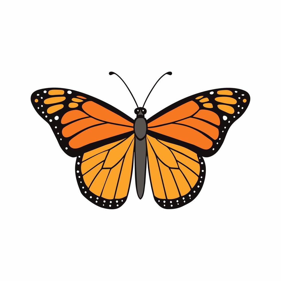 An Artistic Illustration of Monarch Butterfly vector