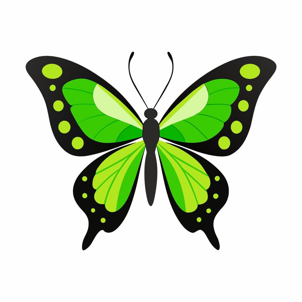 A Vintage Illustration of Lime Butterfly vector