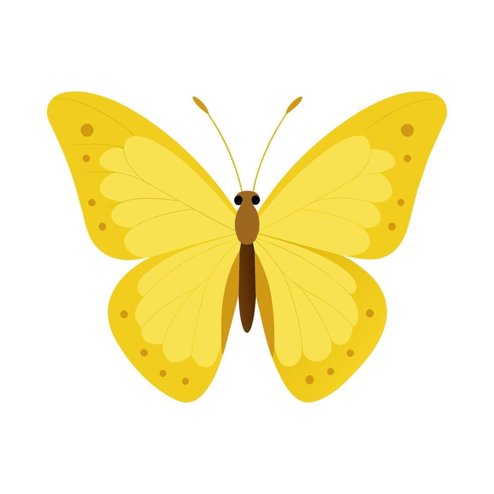 A Vintage Illustration of Common Grass Yellow Butterfly vector