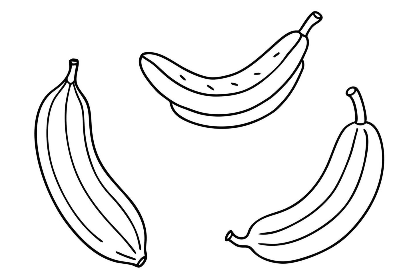 Plantains line art design elegant food drawing artwork vector