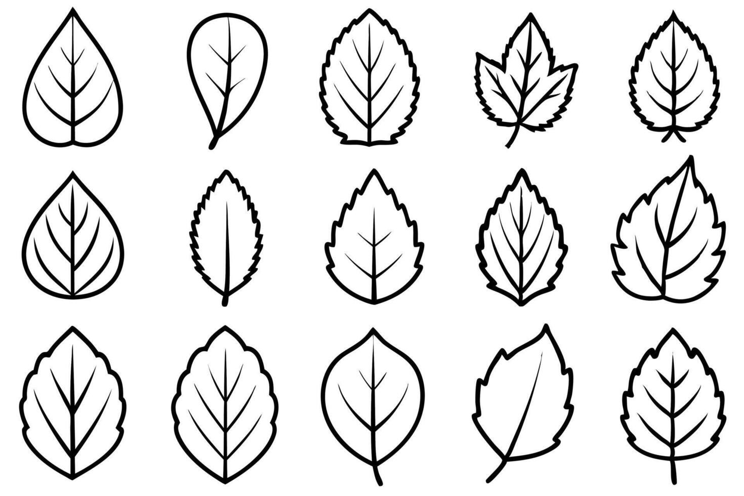 Aspen leaf line art design nature artwork drawing vector