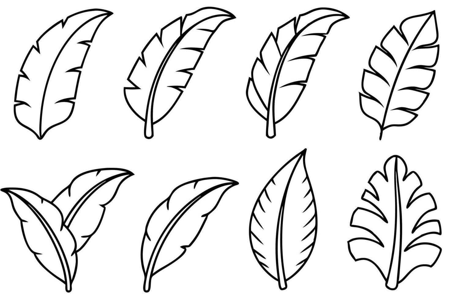 Banana leaf line art design detailed artwork illustration vector