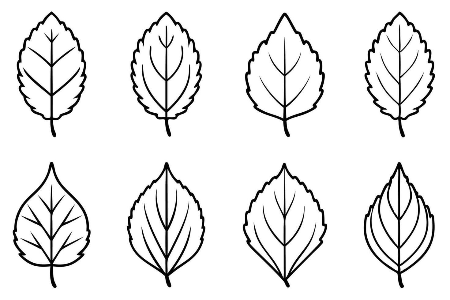 Aspen leaf line art design simple outline illustration vector