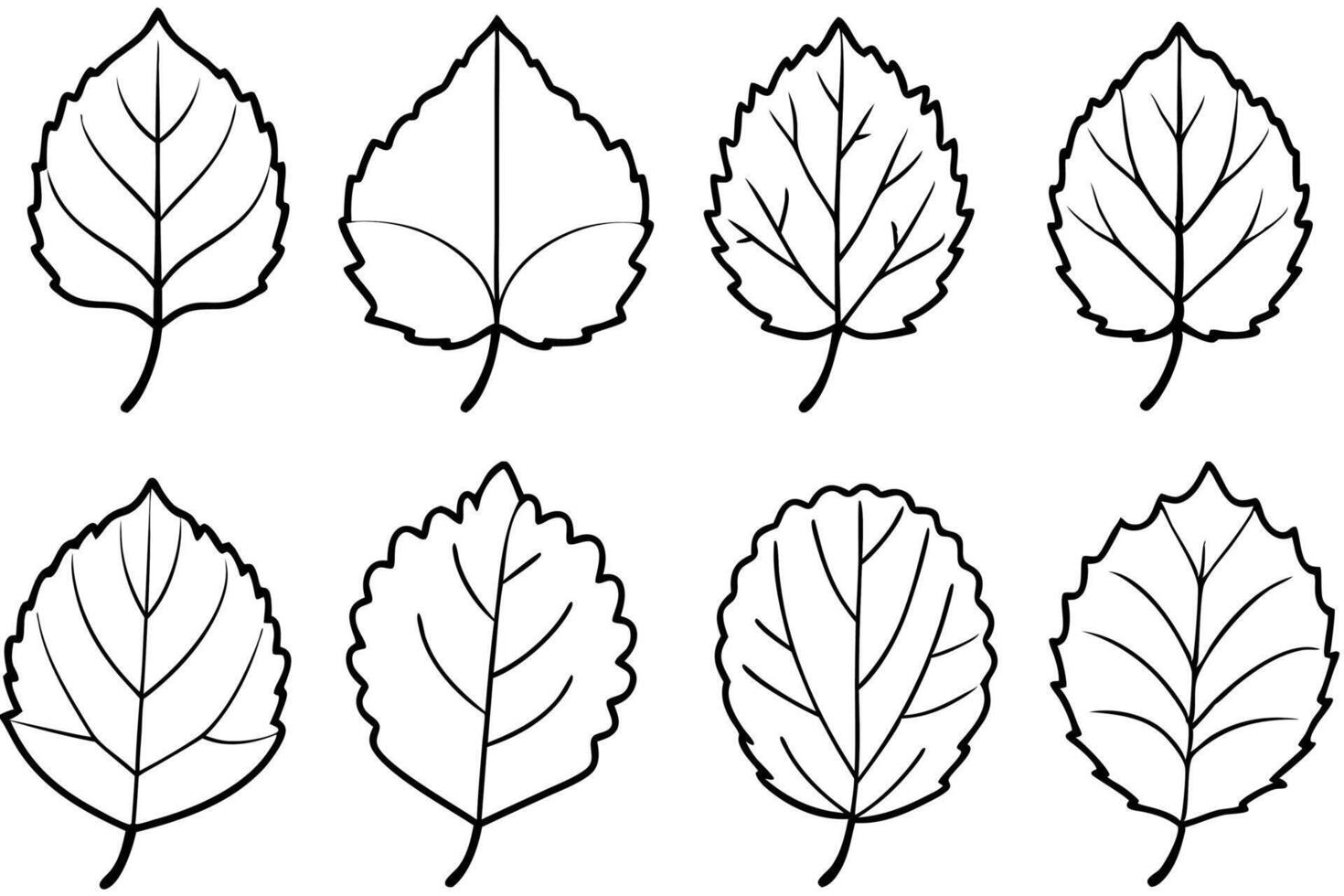 Aspen leaf line art design hand drawing graphic vector