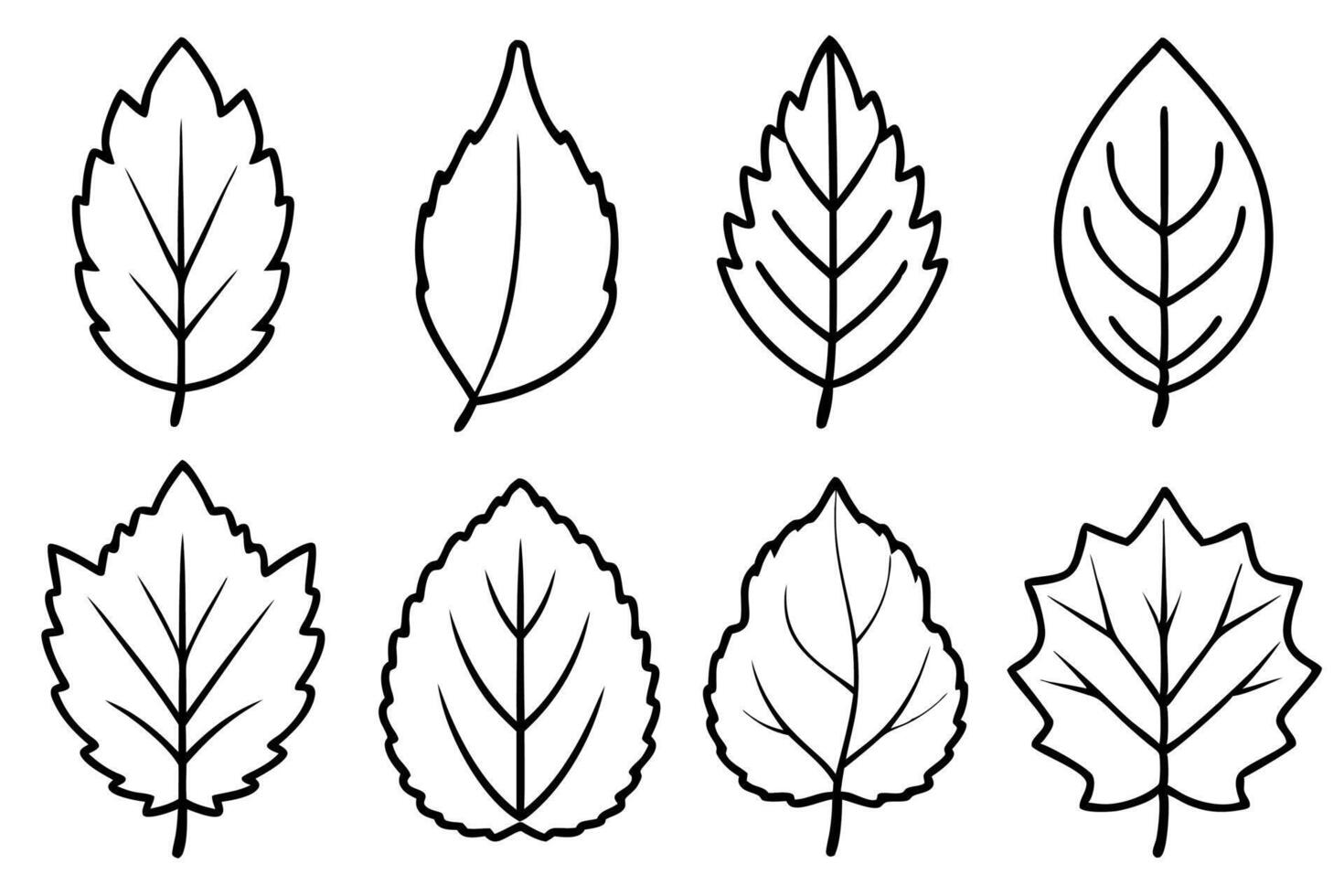 Aspen leaf line art design elegant drawing sketch vector