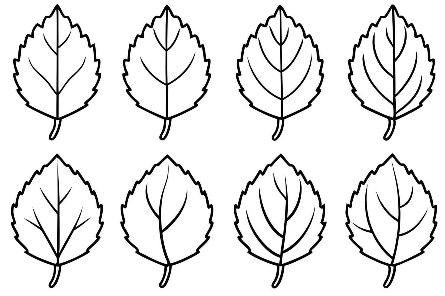 Aspen leaf line art design botanical illustration graphic vector