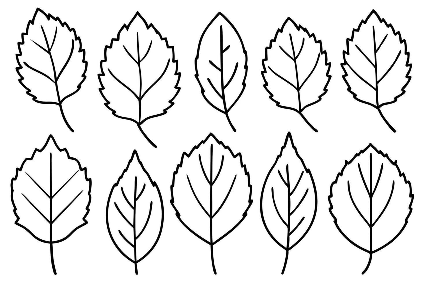 Aspen leaf line art design hand drawing sketch vector