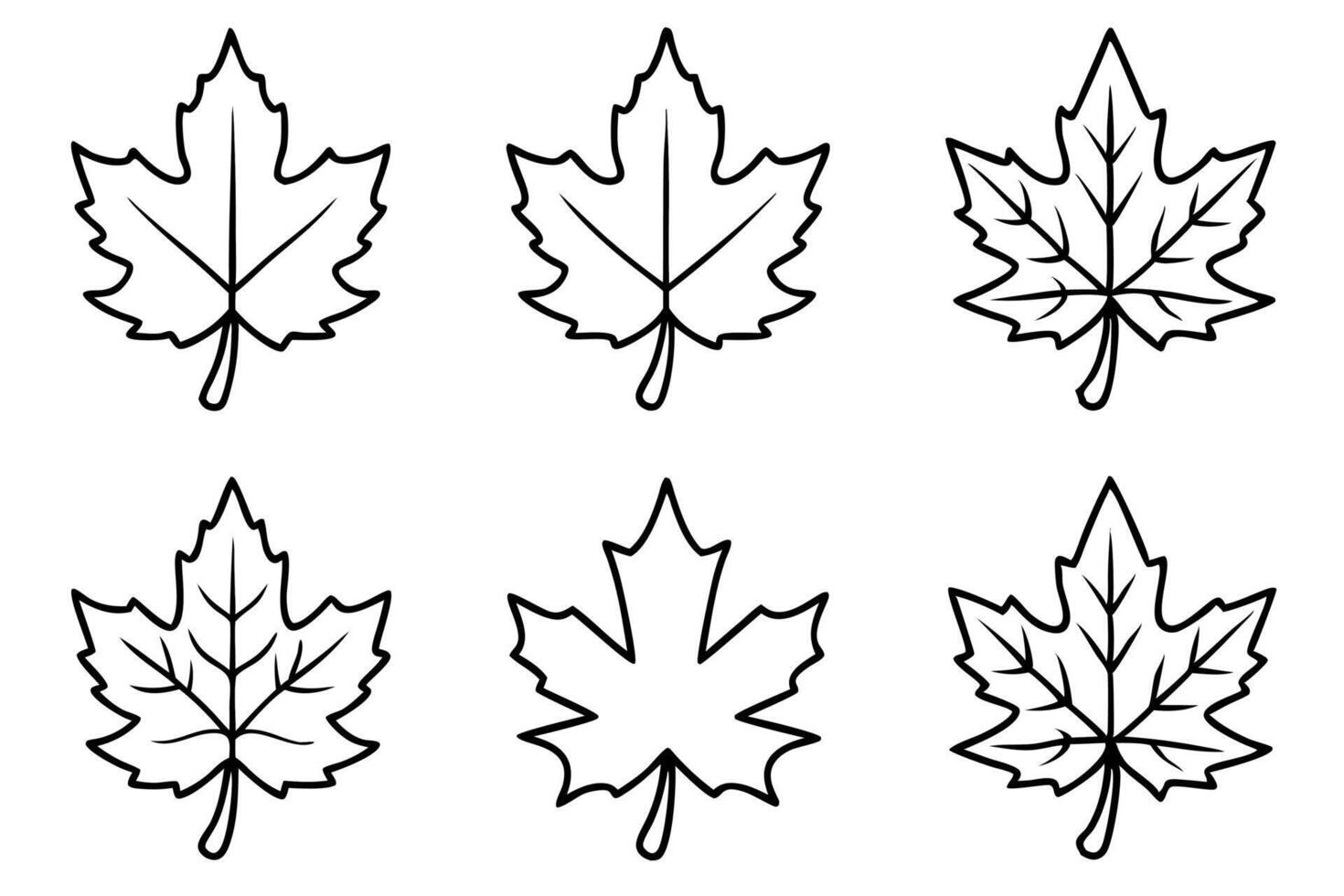 Maple leaf line art design illustration decorative leaves vector