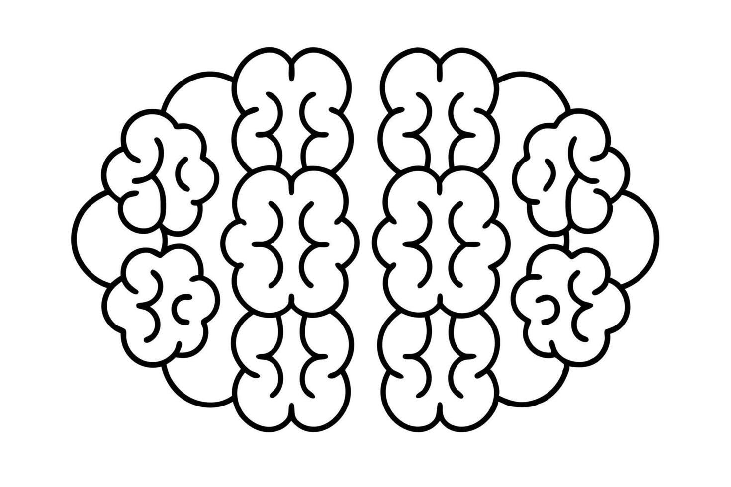 Human brain line art design illustration brain anatomy vector