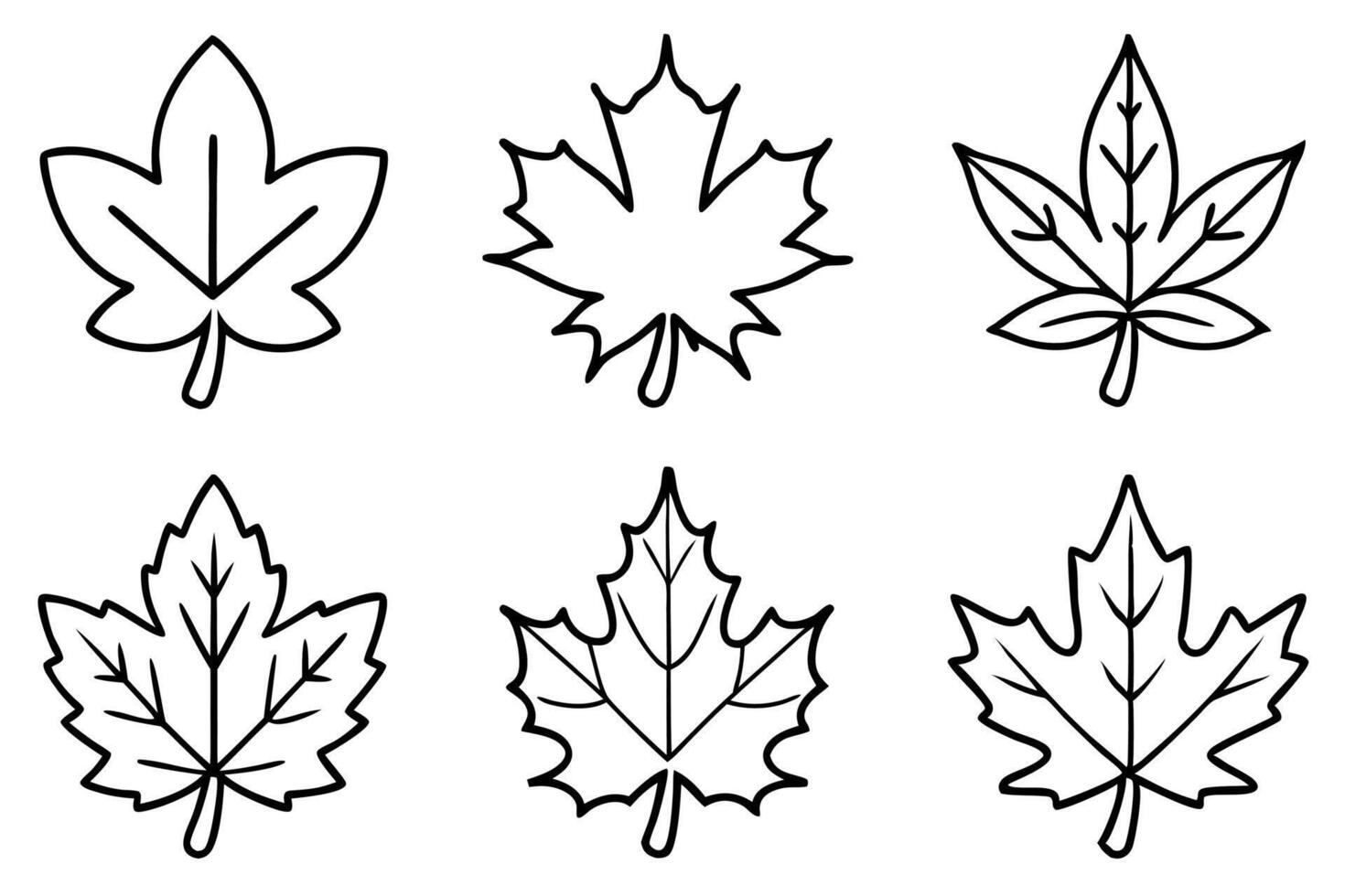 Maple leaf line art design illustration artistic expression vector