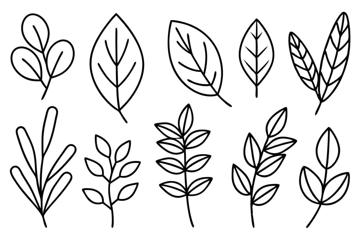 Eucalyptus leaf line art design illustration leaf design element vector