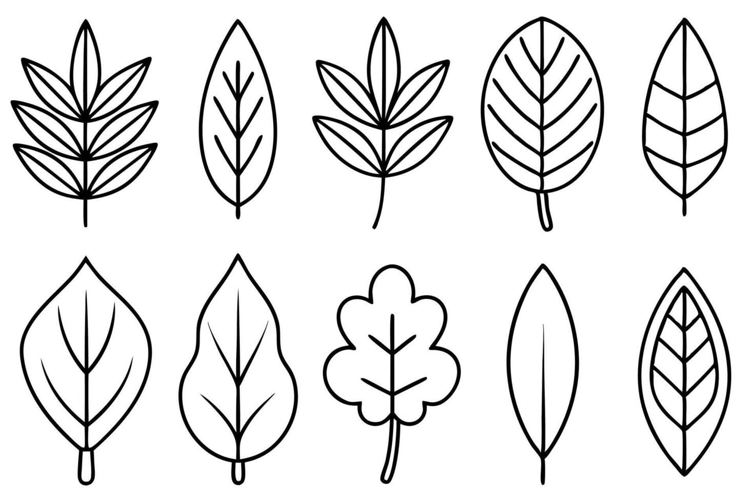 Eucalyptus leaf line art design illustration floral greenery concept vector