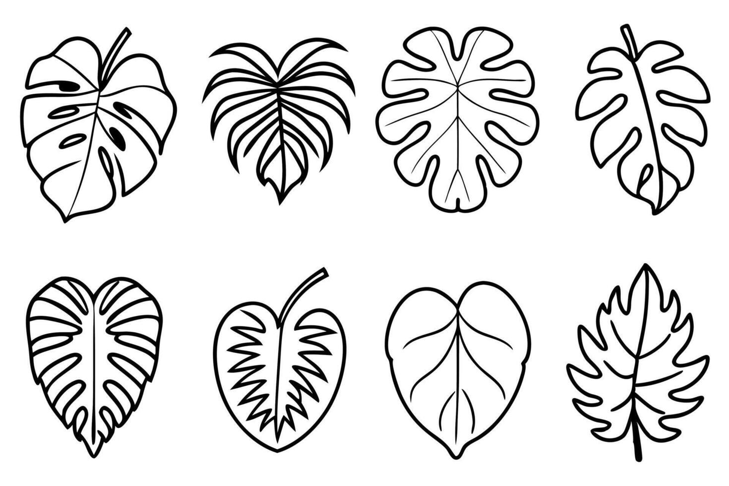 Monstera leaf simple line art refined botanical vector