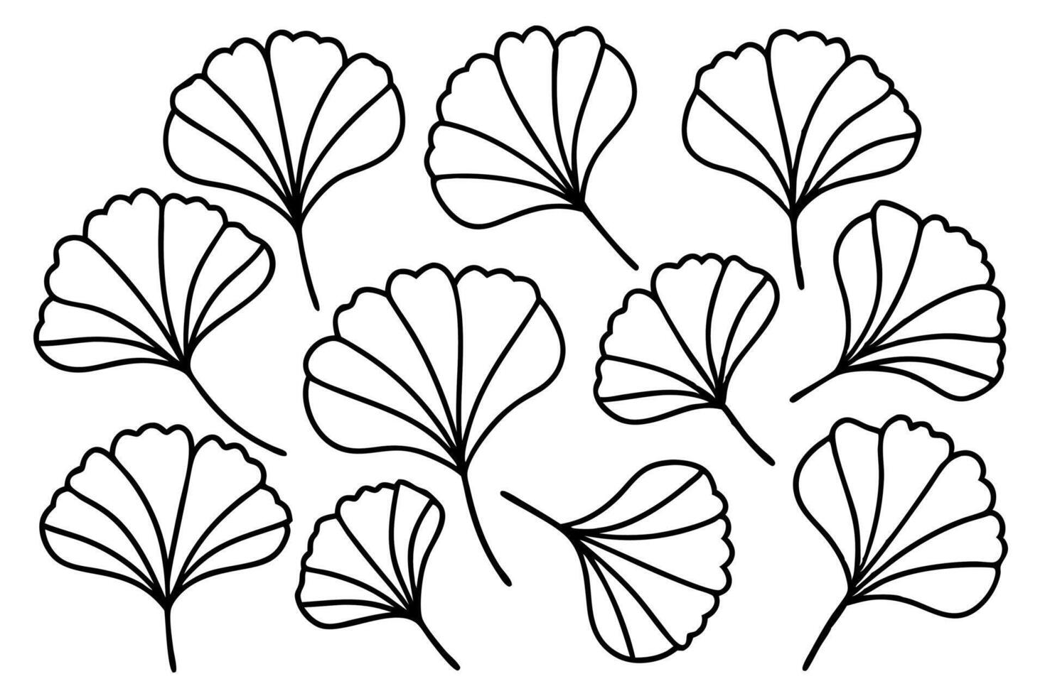 Ginkgo leaf hand-sketched line art foliage illustration style vector