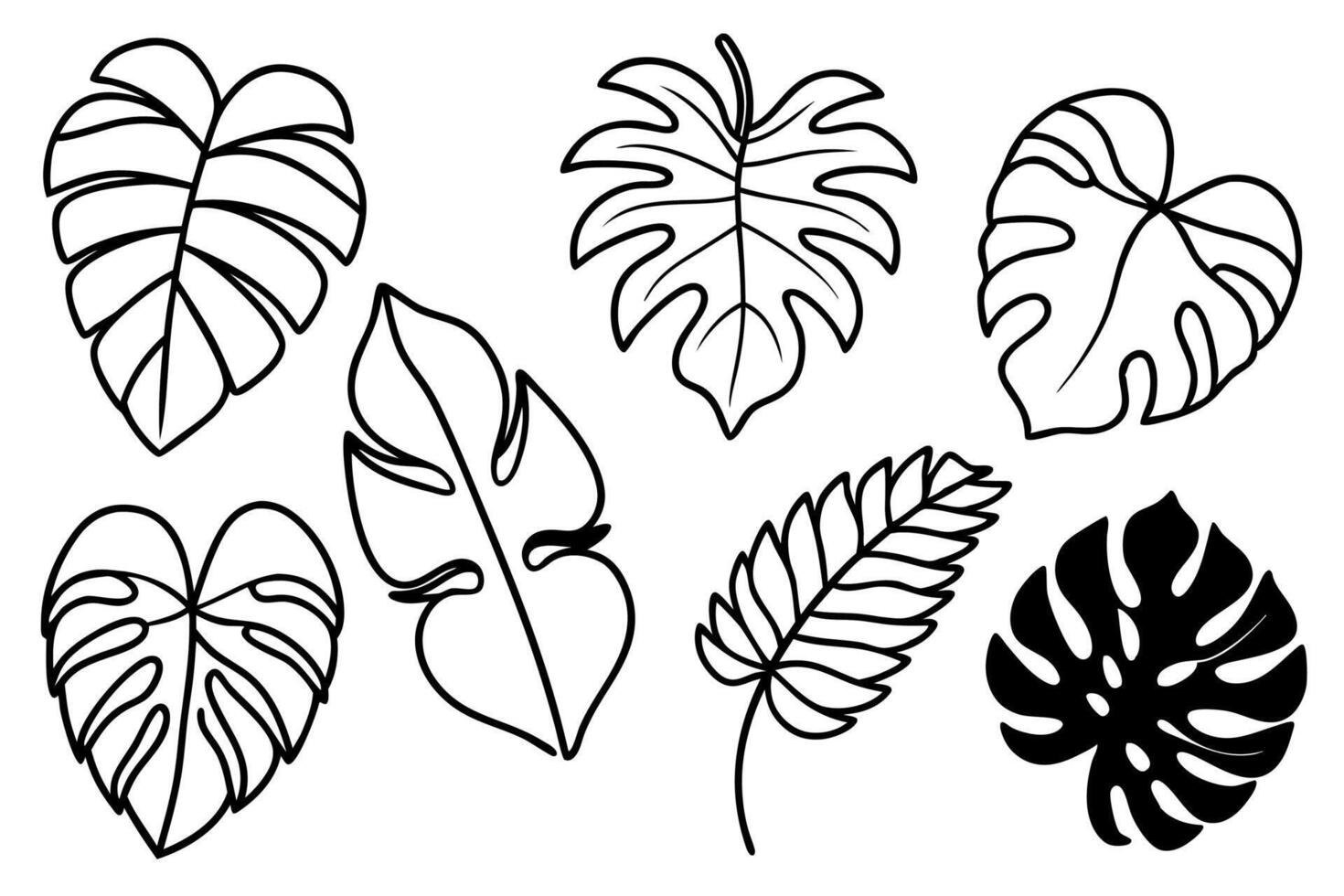 Monstera leaf detailed line art intricate botanical illustration vector