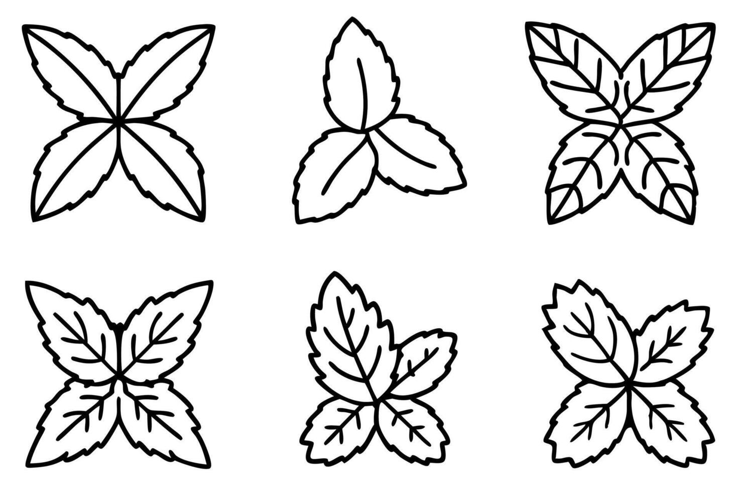 Mint leaf detailed line art intricate botanical illustration vector