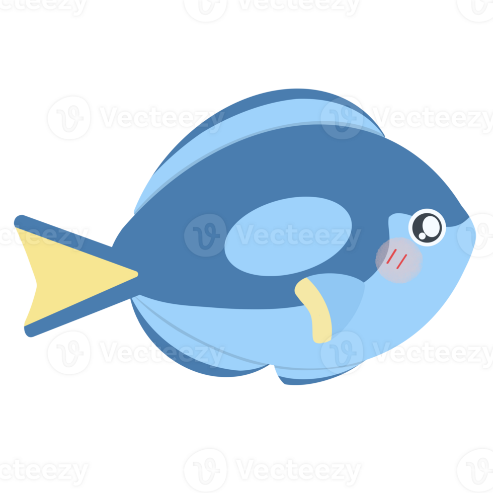 Sea animals, sea life, underwater png