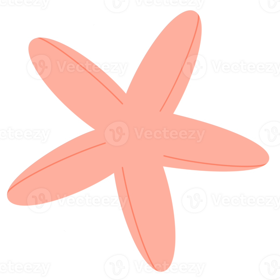 Sea animals, sea life, underwater png