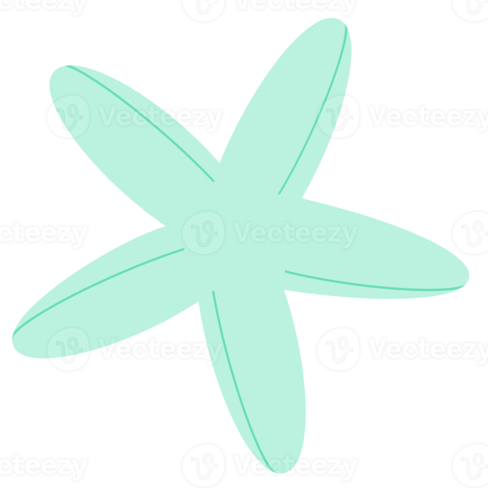 Sea animals, sea life, underwater png