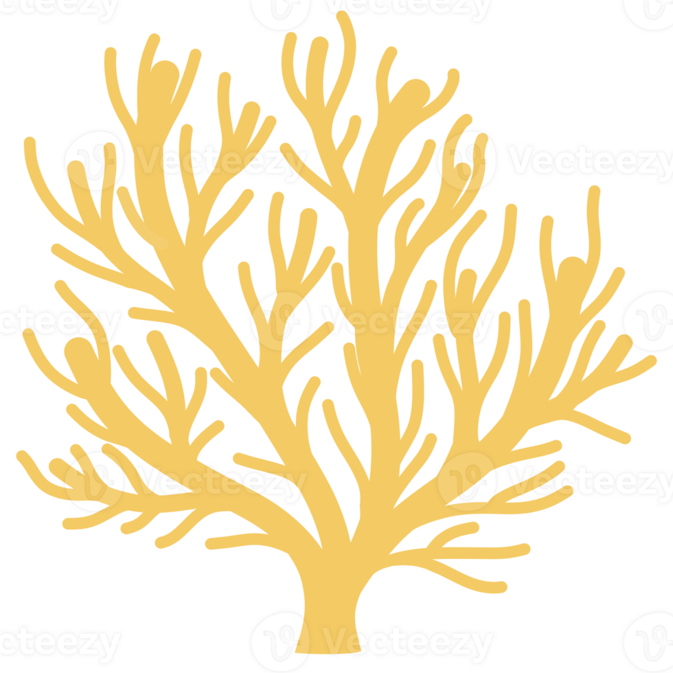 Sea animals, sea life, underwater png