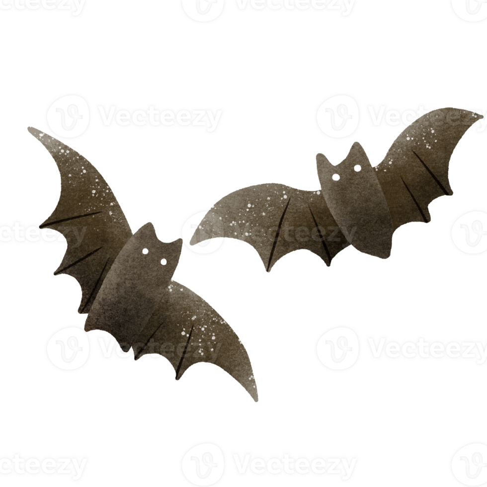 Watercolor Hand drawn illustration cute bats isolated spooky halloween element png