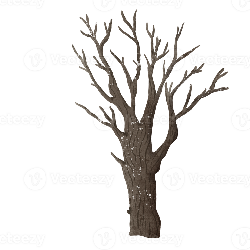 Watercolor Hand drawn illustration a haunted tree isolated spooky halloween element png