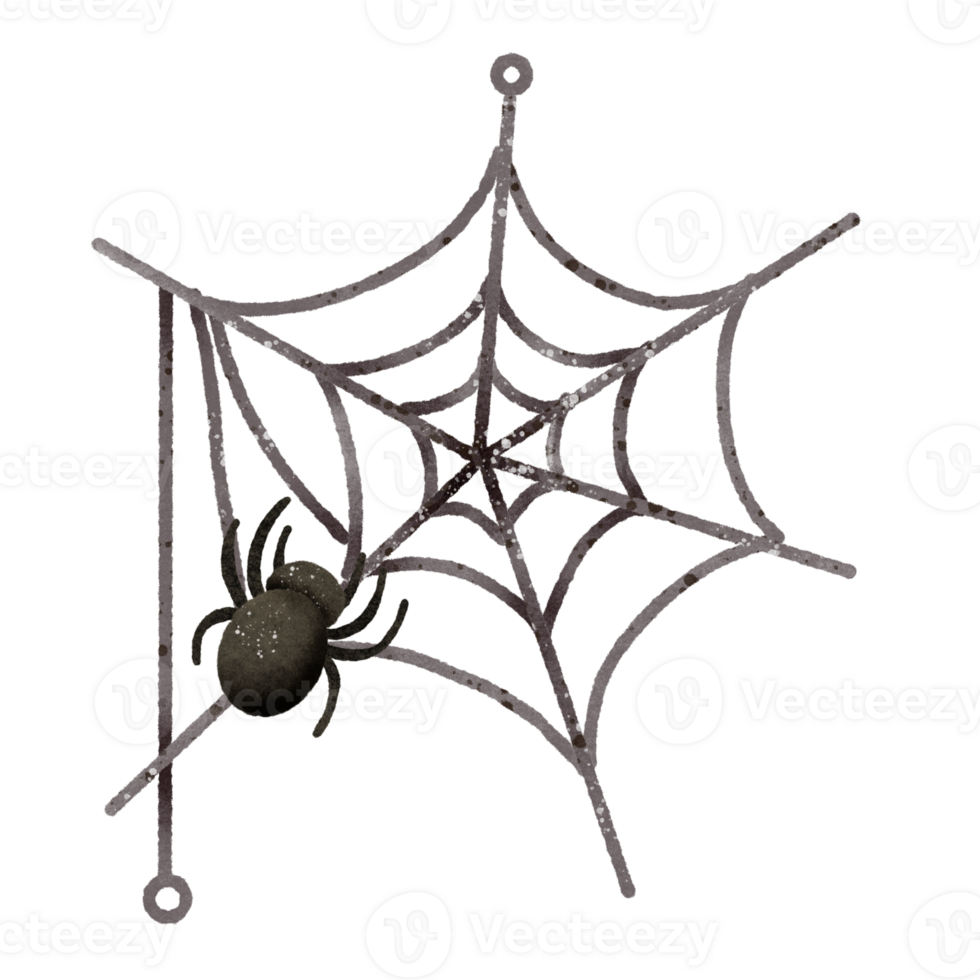 Watercolor Hand drawn illustration a black spider on a spider web isolated spooky Halloween element png