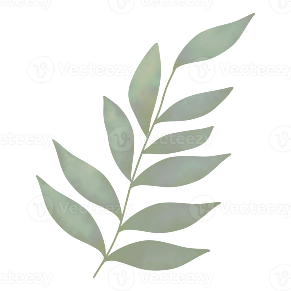 Green Leaves isolated png
