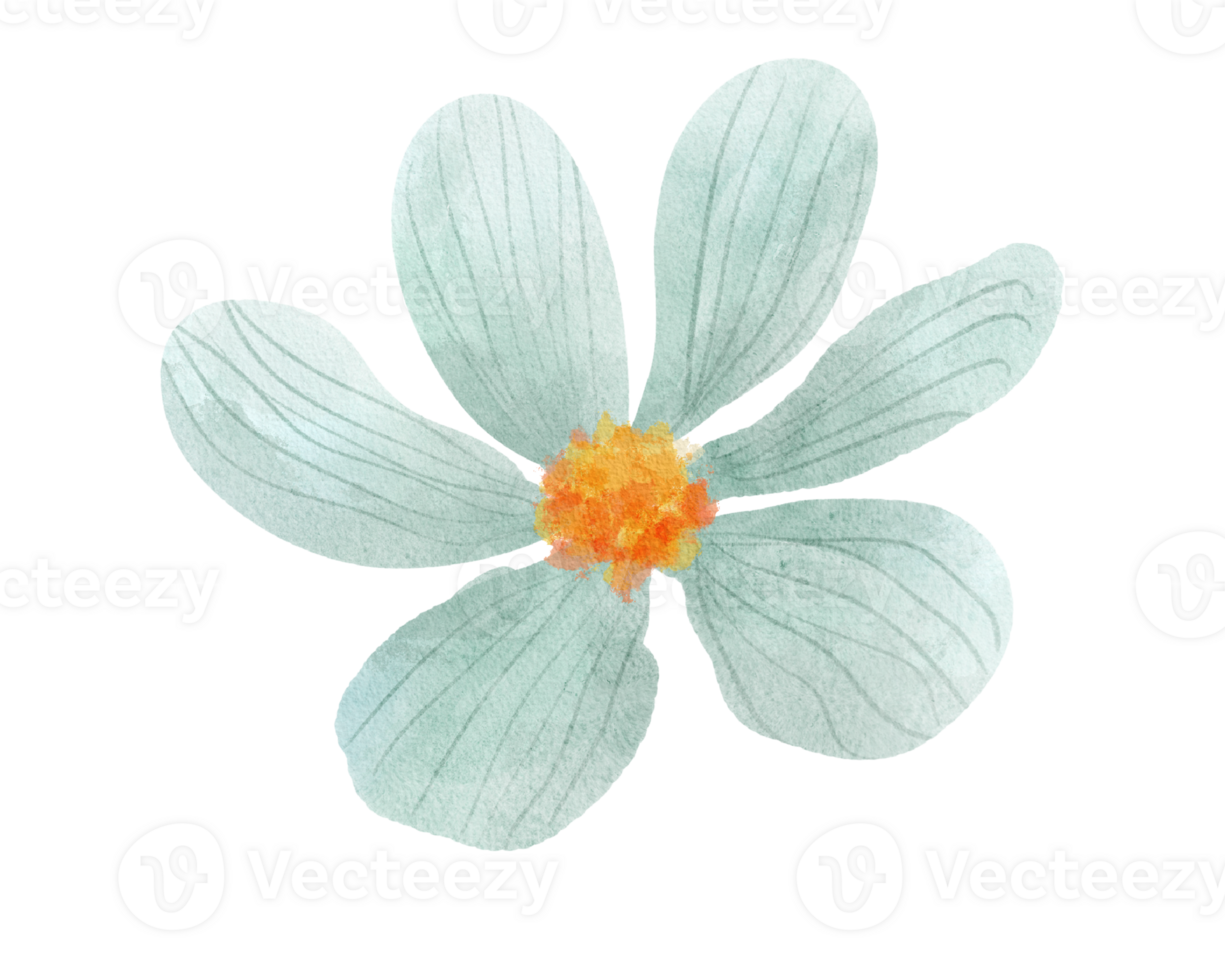 Mint green flower head png