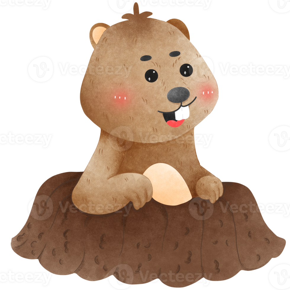 Groundhog Day collection png