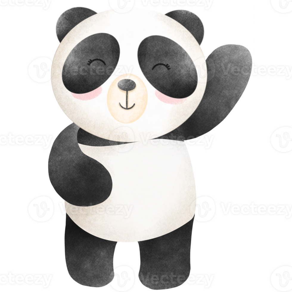Panda Valentine's bay png