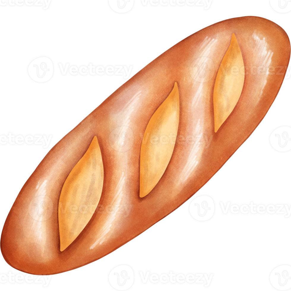 Illustration set about bread. png