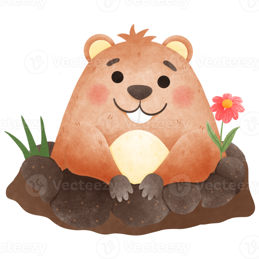Groundhog Day collection png