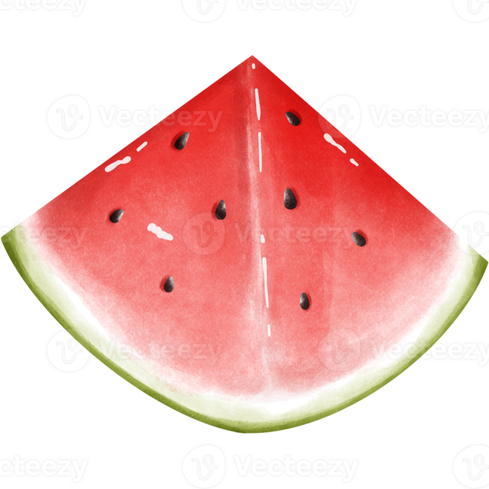 Watermelon watercolor collection png