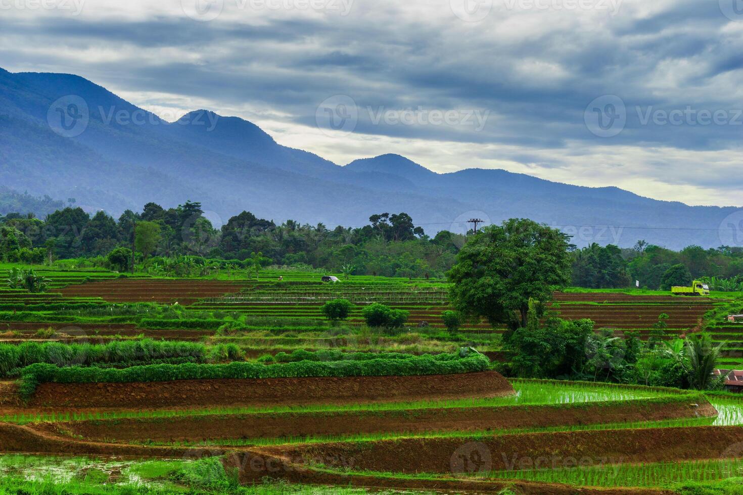 Beautiful morning view indonesia, Panorama Landscape paddy fields with beauty color and sky natural light photo