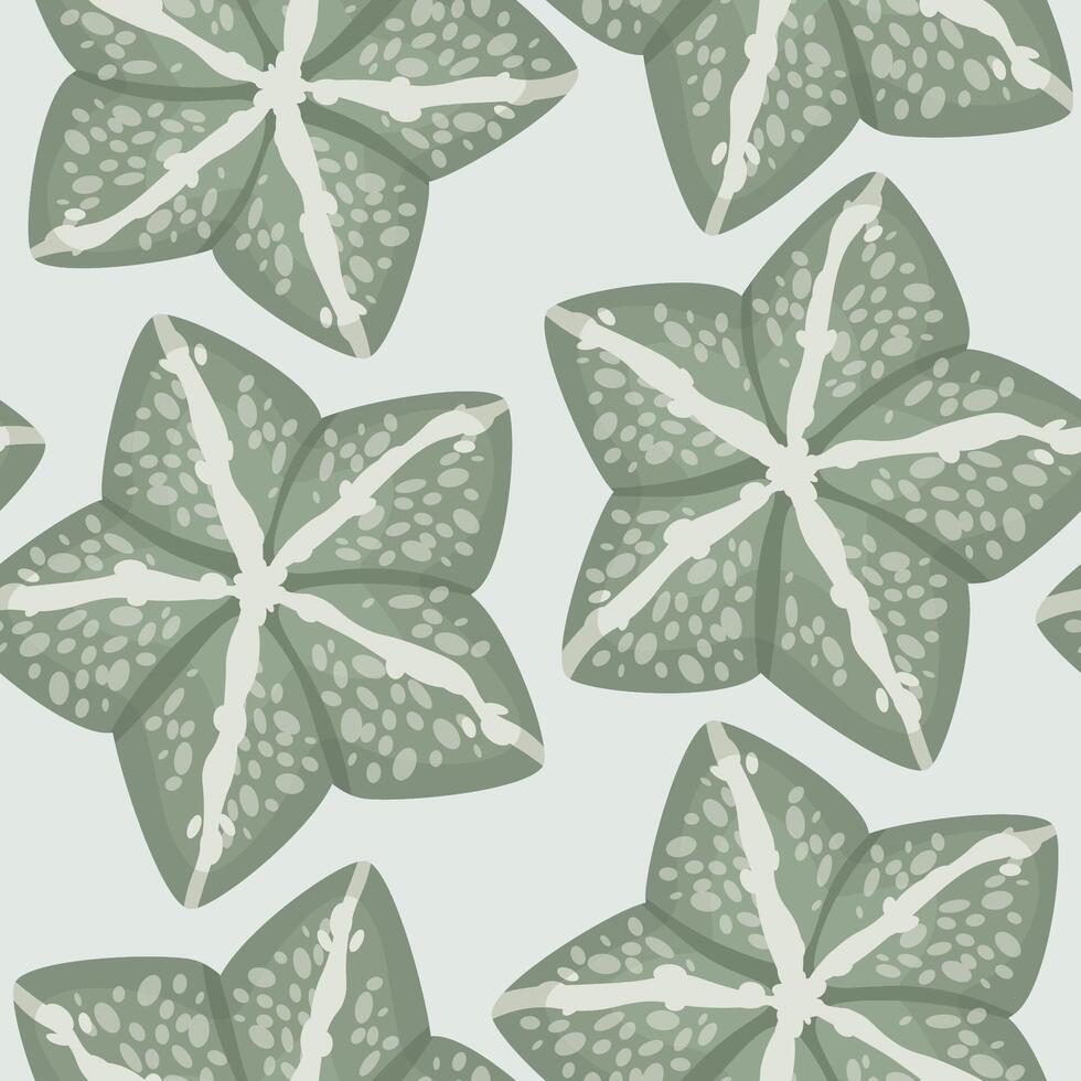 Succulent astrophytum myriotigma seamless pattern vector