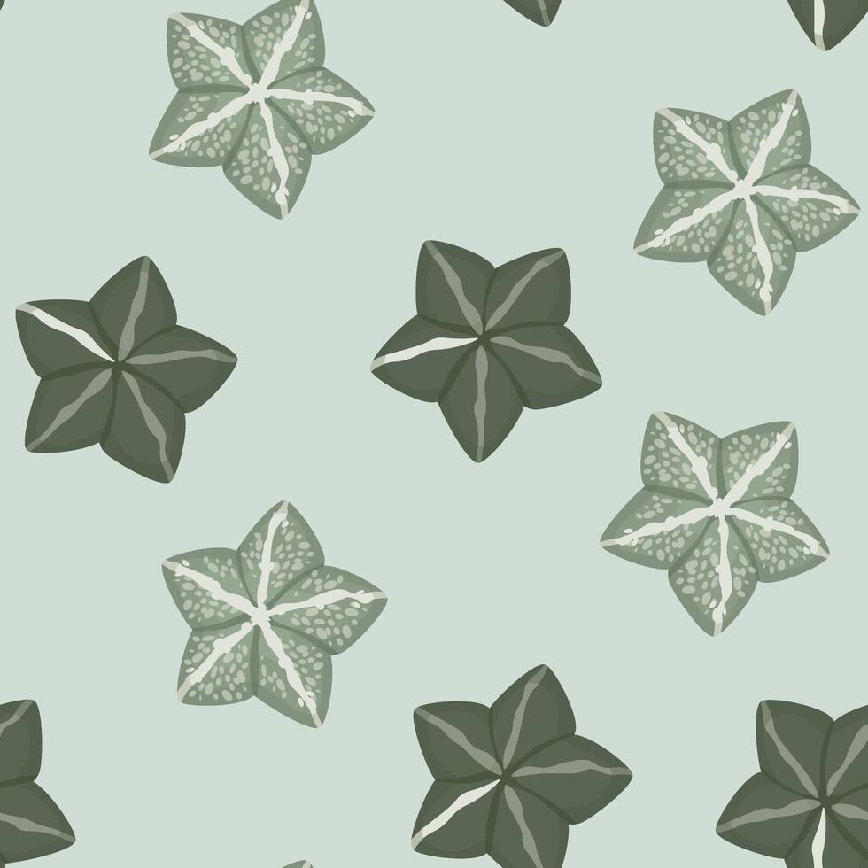 Seamless pattern succulent astrophytum myriotigma vector