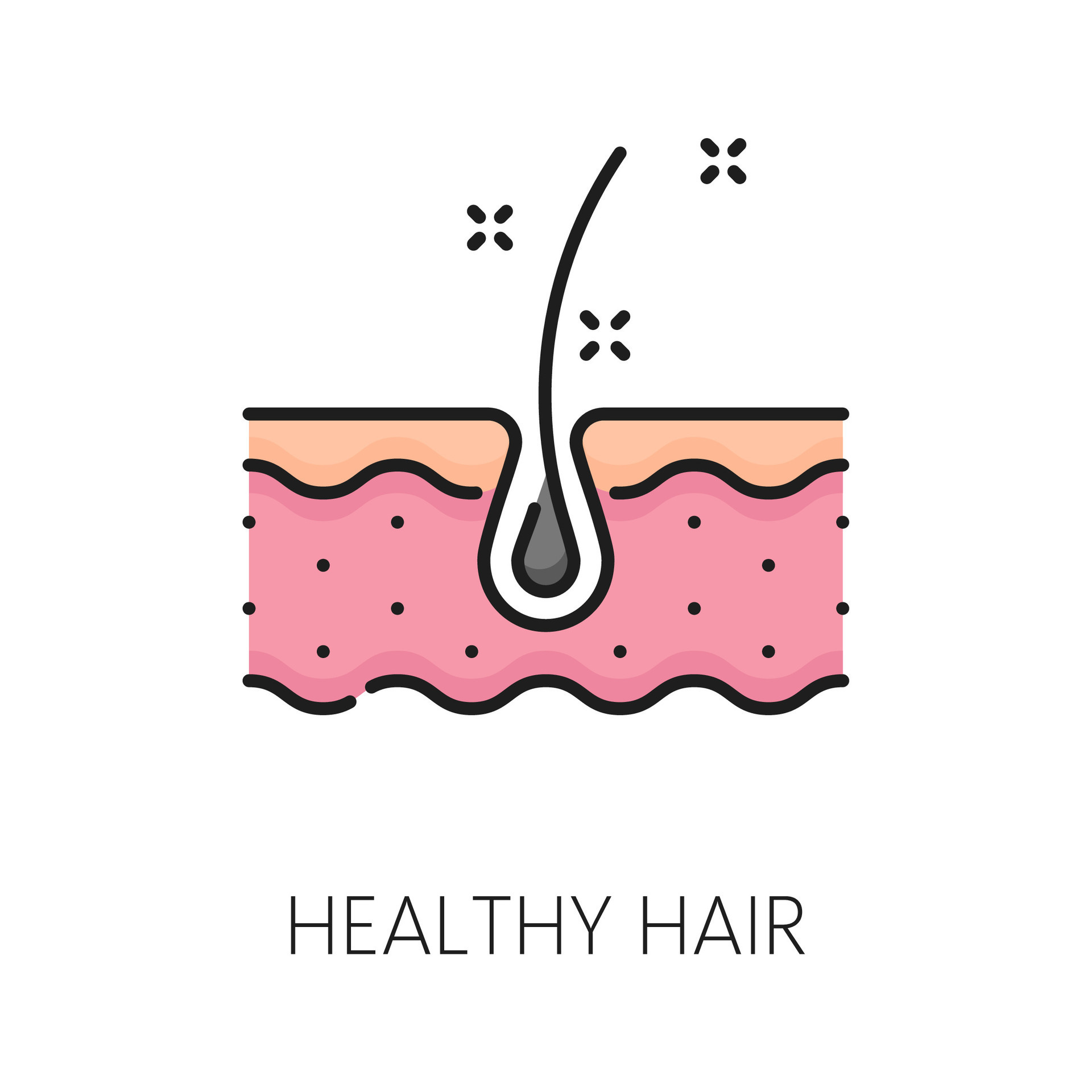 Hair Care And Treatment Outline Color Icon 47447132 Vector Art At Vecteezy Hair Care And Treatment Outline Color Icon 47447132 Vector Art At Vecteezy
