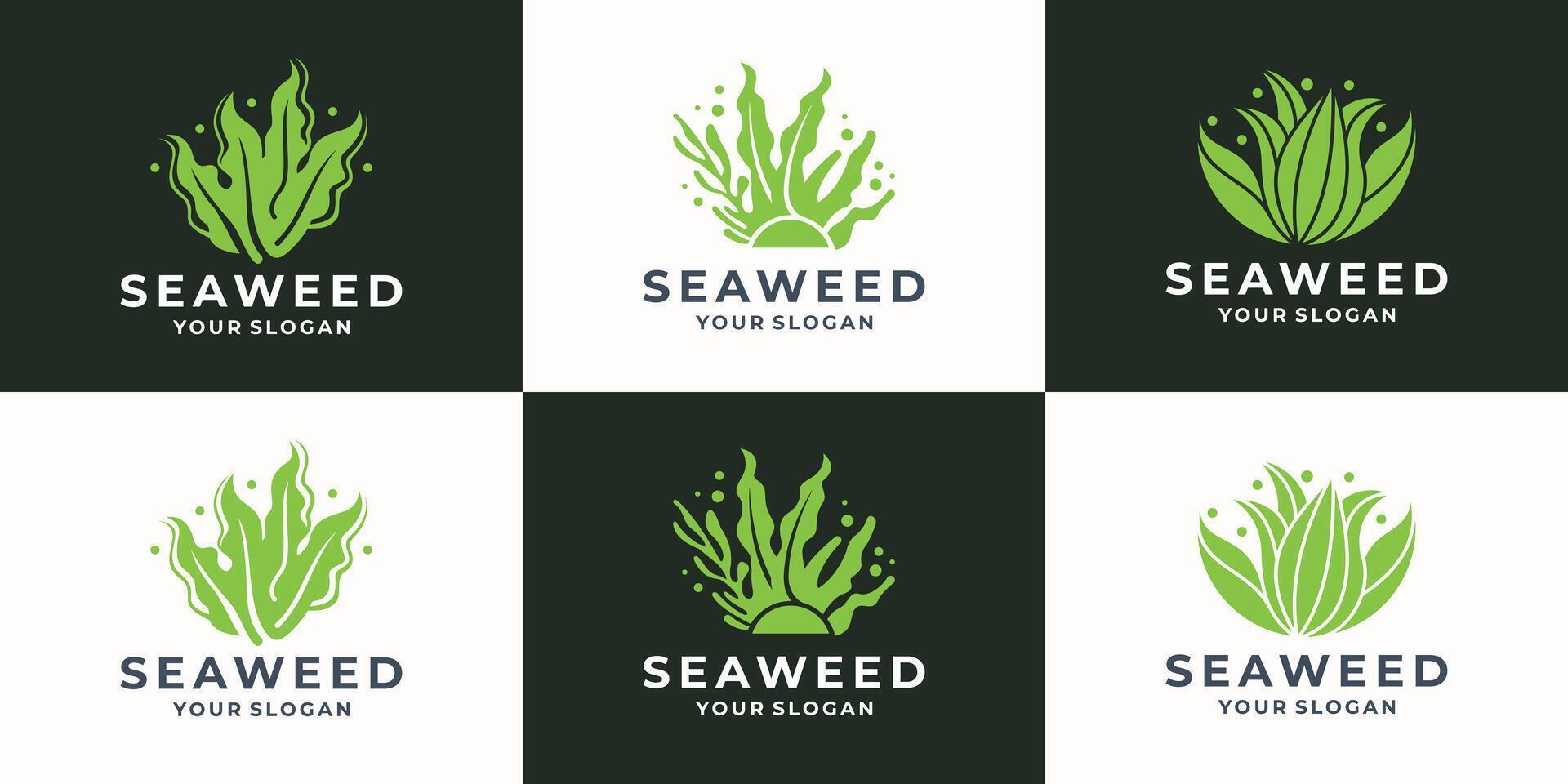 set of abstract seaweed logo design inspiration. sea corals and seaweed green collection illustration. vector