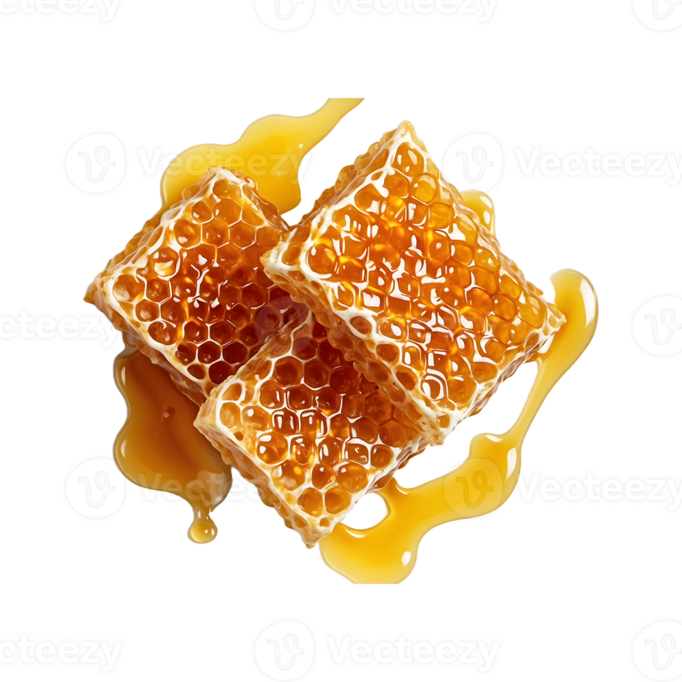 Honeycomb with Honey and Cream isolated on a transparent background png