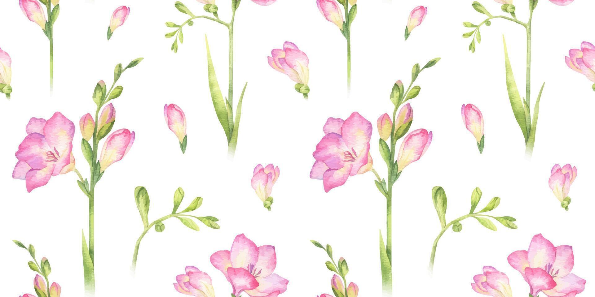 Freesia flowers, buds and leaves. Hand drawn watercolor seamless pattern of pink wildflowers. Summer floral background for wedding invitations, cards, packaging of goods vector