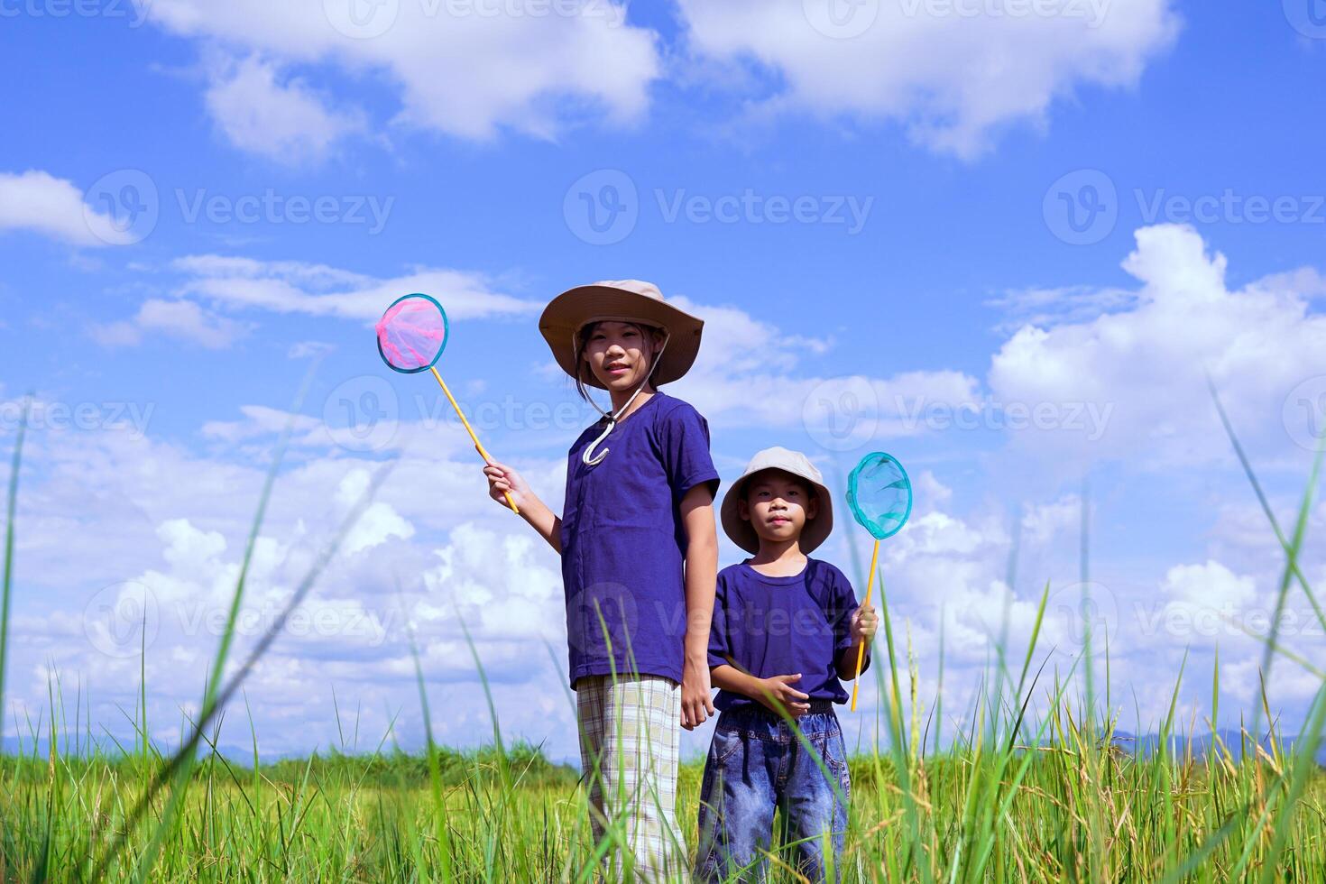 Asian boys and girls holding fish colanders stand in the rice fields to study and explore the ecosystem in the rice fields. Concept of learning outside the classroom, activities, studying nature photo