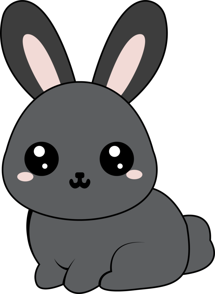 cute rabbit image png